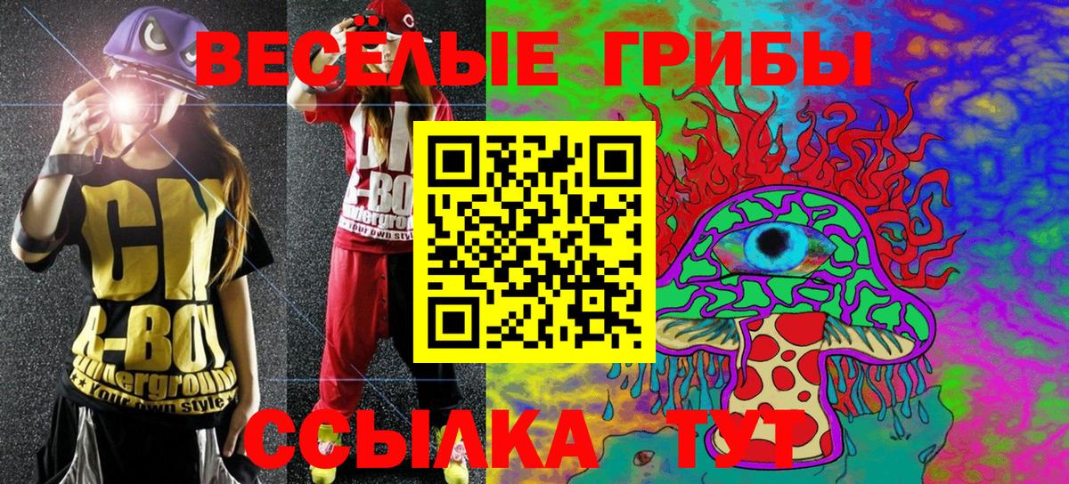 Галлюциногенные грибы Psilocybe  Псилоцибиновые грибы мицелий  Камышлов  закладки  Вход с VPN 